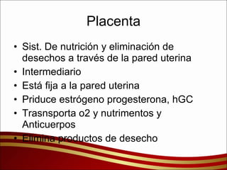 Placenta Sist. De nutrición y eliminación de desechos a través de la pared uterina  Intermediario  Está fija a la pared uterina Priduce estrógeno progesterona, hGC  Trasnsporta o2 y nutrimentos y Anticuerpos Elimina productos de desecho 