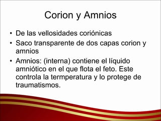 Corion y Amnios De las vellosidades coriónicas  Saco transparente de dos capas corion y amnios Amnios: (interna) contiene el líquido amniótico en el que flota el feto. Este controla la termperatura y lo protege de traumatismos. 