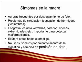 Sintomas en la madre . Agruras frecuentes por desplazamiento de feto. Problemas de circulación (sensación de hormigueo y calambres). Ecografía: estudia vertebras, corazón, riñones, extremidades, etc., importante para detectar malformaciones. El útero crece hasta el ombligo. Nauseas, vómitos por enlentecimiento de la digestión y cambios de  posición del feto. 