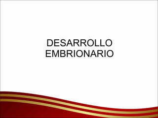DESARROLLO EMBRIONARIO 
