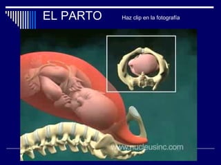 EL PARTO Haz clip en la fotografía 