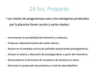 24 hrs. Preparto
• Los niveles de progesterona caen y los estrógenos producidos
por la placenta tienen acción a varios niveles:
- Incrementan la sensibilidad del miometrio a oxitocina.
- Producen reblandecimiento del cuello uterino.
- Actúan en el complejo carúncula cotiledón produciendo prostaglandinas.
- Activan la síntesis y liberación de prostaglandinas a partir del miometrio.
- Desencadenan la formación de receptores de oxitocina en útero.
- Estimulan la producción de prolactina a nivel de adenohipófisis.
 