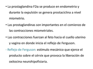 • La prostaglandina F2α se produce en endometrio y
durante la expulsión se genera prostaciclina a nivel
miometrio.
• Las prostaglandinas son importantes en el comienzo de
las contracciones miometriales.
• Las contracciones fuerzan al feto hacia el cuello uterino
y vagina en donde inicia el reflejo de Ferguson.
- Reflejo de Ferguson: estímulo mecánico que ejerce el
producto sobre el cérvix que provoca la liberación de
oxitocina neurohipofisiaria.
 