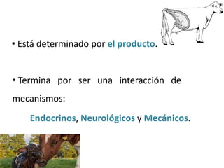 • Está determinado por el producto.
• Termina por ser una interacción de
mecanismos:
Endocrinos, Neurológicos y Mecánicos.
 