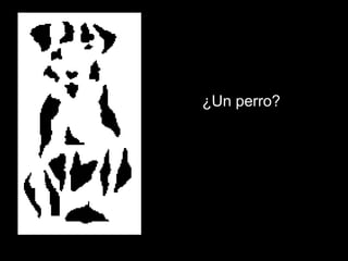 ¿Un perro?
 