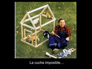 La cucha imposible…
 
