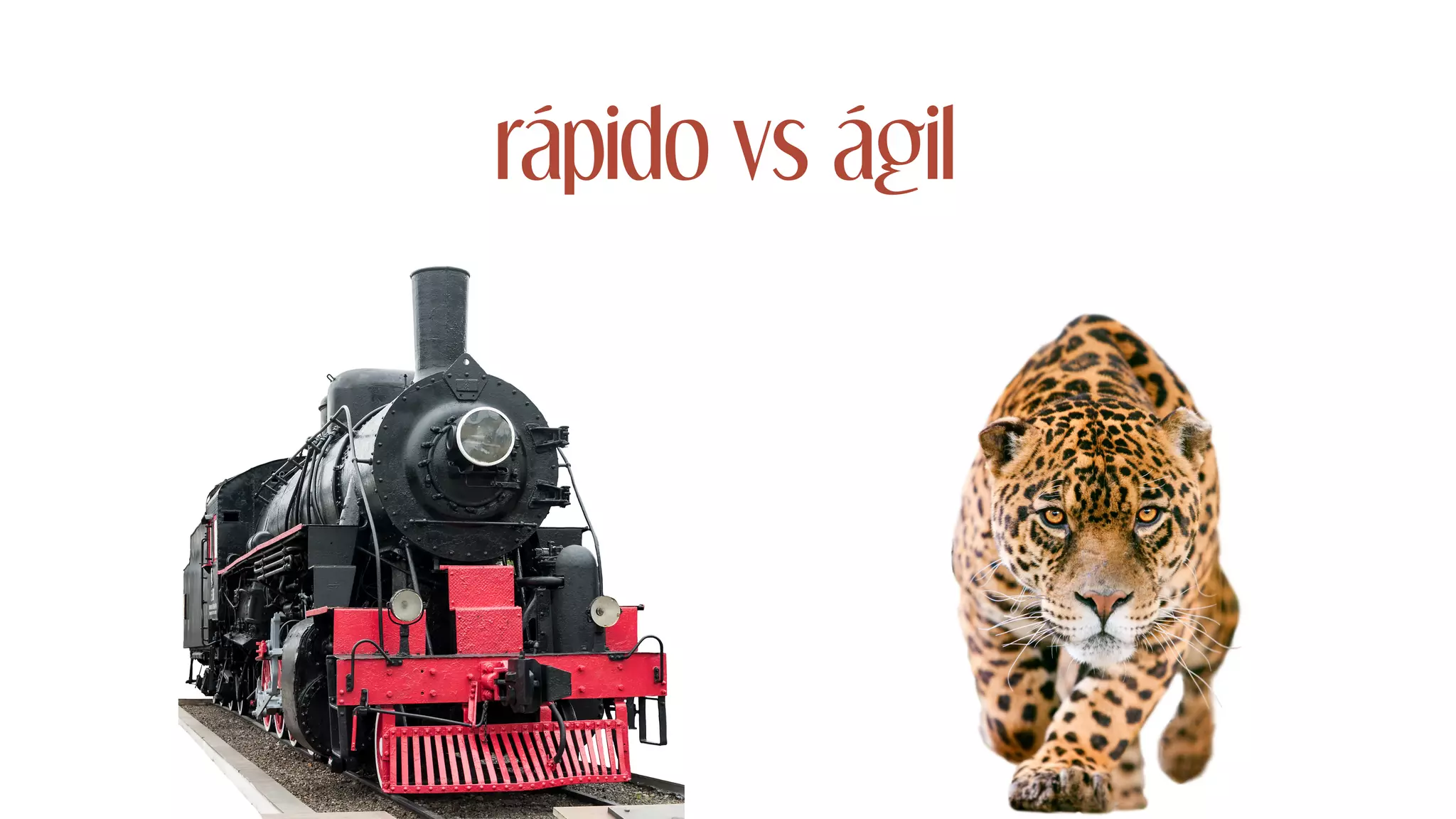 rápido vs ágil
 