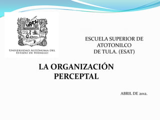 ESCUELA SUPERIOR DE
             ATOTONILCO
            DE TULA. (ESAT)

LA ORGANIZACIÓN
   PERCEPTAL
                    ABRIL DE 2012.
 