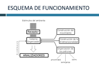 ESQUEMA DE FUNCIONAMIENTO
 