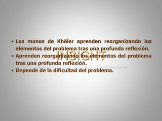 INSIGHTLos monos de Khöler aprenden reorganizando los elementos del problema tras una profunda reflexión.Aprenden reorganizando los elementos del problema tras una profunda reflexión.Depende de la dificultad del problema.