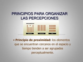 PRINCIPIOS PARA ORGANIZAR LAS PERCEPCIONESPrincipio de proximidad: los elementosque se encuentrancercanos en el espacio y tiempotienden a ser agrupadosperceptualmente.