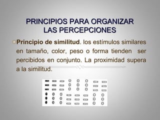 PRINCIPIOS PARA ORGANIZAR LAS PERCEPCIONESPrincipio de similitud. los estímulossimilares en tamaño, color, peso o forma tienden  ser percibidos en conjunto. La proximidadsupera a la similitud.