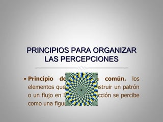 PRINCIPIOS PARA ORGANIZAR LAS PERCEPCIONESPrincipio de dirección común. los elementos que parecen construir un patrón o un flujo en la misma dirección se percibe como una figura.