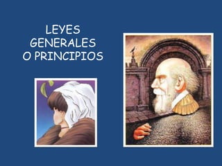 LEYES
 GENERALES
O PRINCIPIOS
 