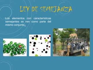 LEY DE SEMEJANZA
Los elementos con características
semejantes se ven como parte del
mismo conjunto.

 