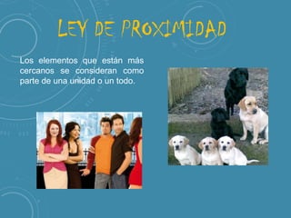 LEY DE PROXIMIDAD
Los elementos que están más
cercanos se consideran como
parte de una unidad o un todo.

 