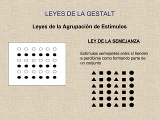 LEYES DE LA GESTALT
Leyes de la Agrupación de Estímulos
LEY DE LA SEMEJANZA
Estímulos semejantes entre sí tienden
a percibirse como formando parte de
un conjunto
 