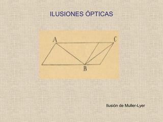 ILUSIONES ÓPTICAS
Ilusión de Muller-Lyer
 