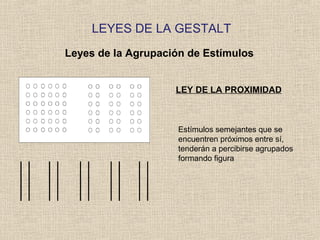 LEYES DE LA GESTALT
Leyes de la Agrupación de Estímulos
LEY DE LA PROXIMIDAD
Estímulos semejantes que se
encuentren próximos entre sí,
tenderán a percibirse agrupados
formando figura
 