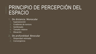 PRINCIPIO DE PERCEPCIÓN DEL
ESPACIO
1. De distancia: Monocular
1. Superposición
2. Gradiente de textura
3. Sombreado
4. Tamaño relativo
5. Elevación
2. De profundidad: Binocular
1. Disparidad retiniada
2. Convergencia
 
