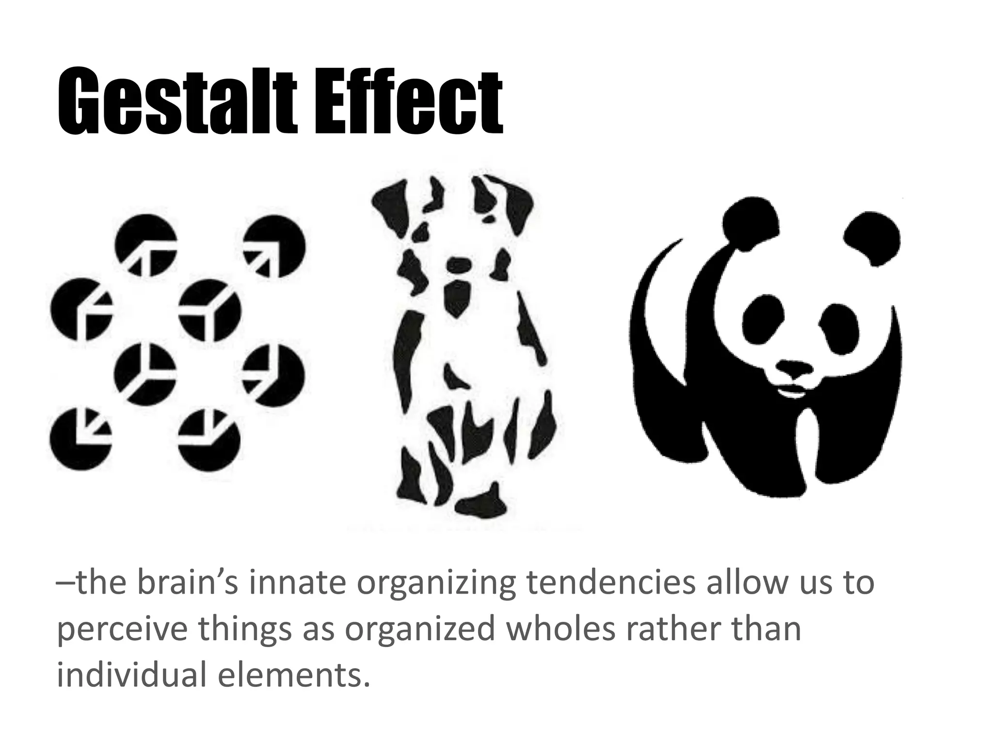 Gestalt Effect
–the brain’s innate organizing tendencies allow us to
perceive things as organized wholes rather than
individual elements.
