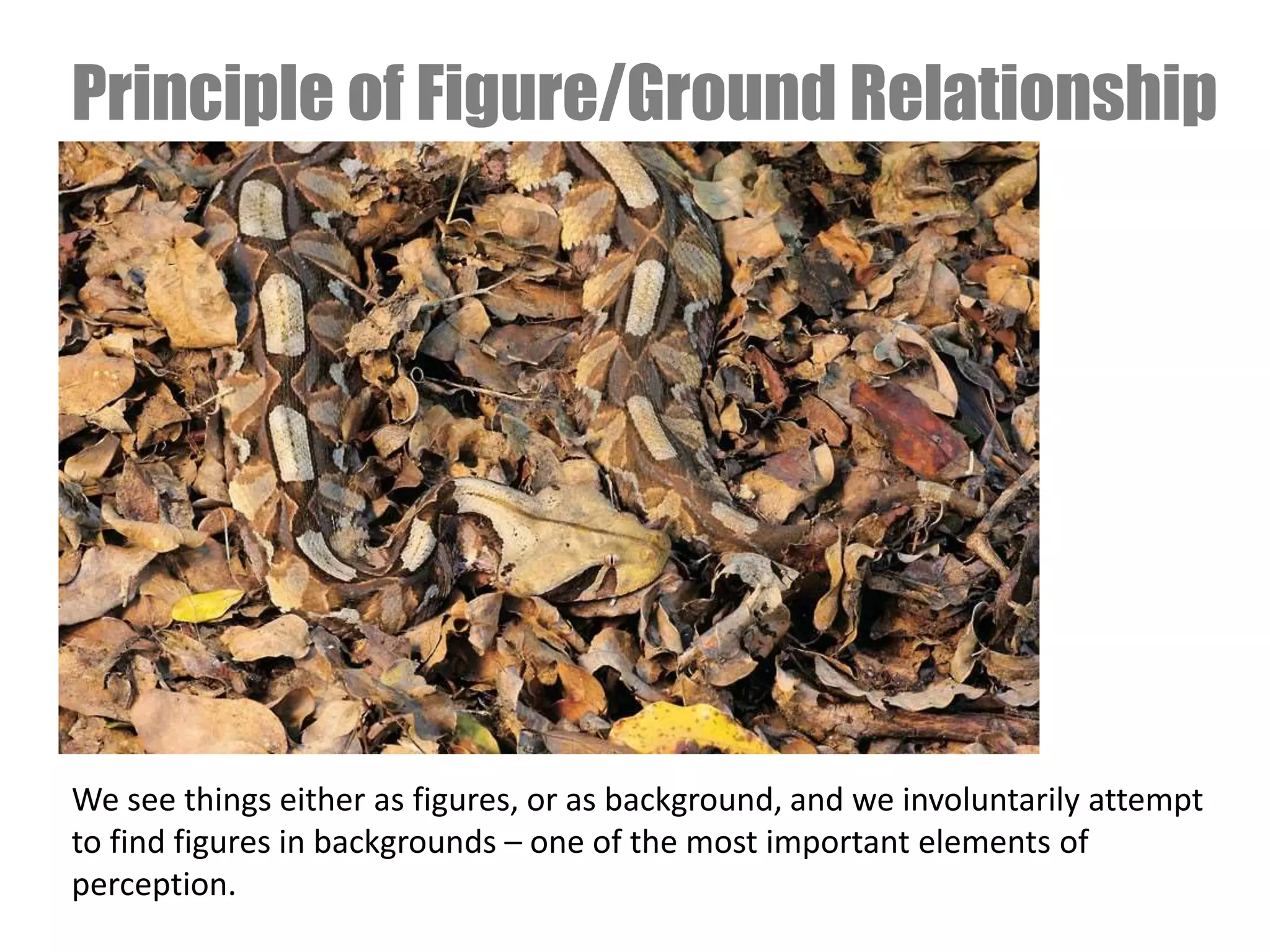 Principle of Figure/Ground Relationship
We see things either as figures, or as background, and we involuntarily attempt
to find figures in backgrounds – one of the most important elements of
perception.