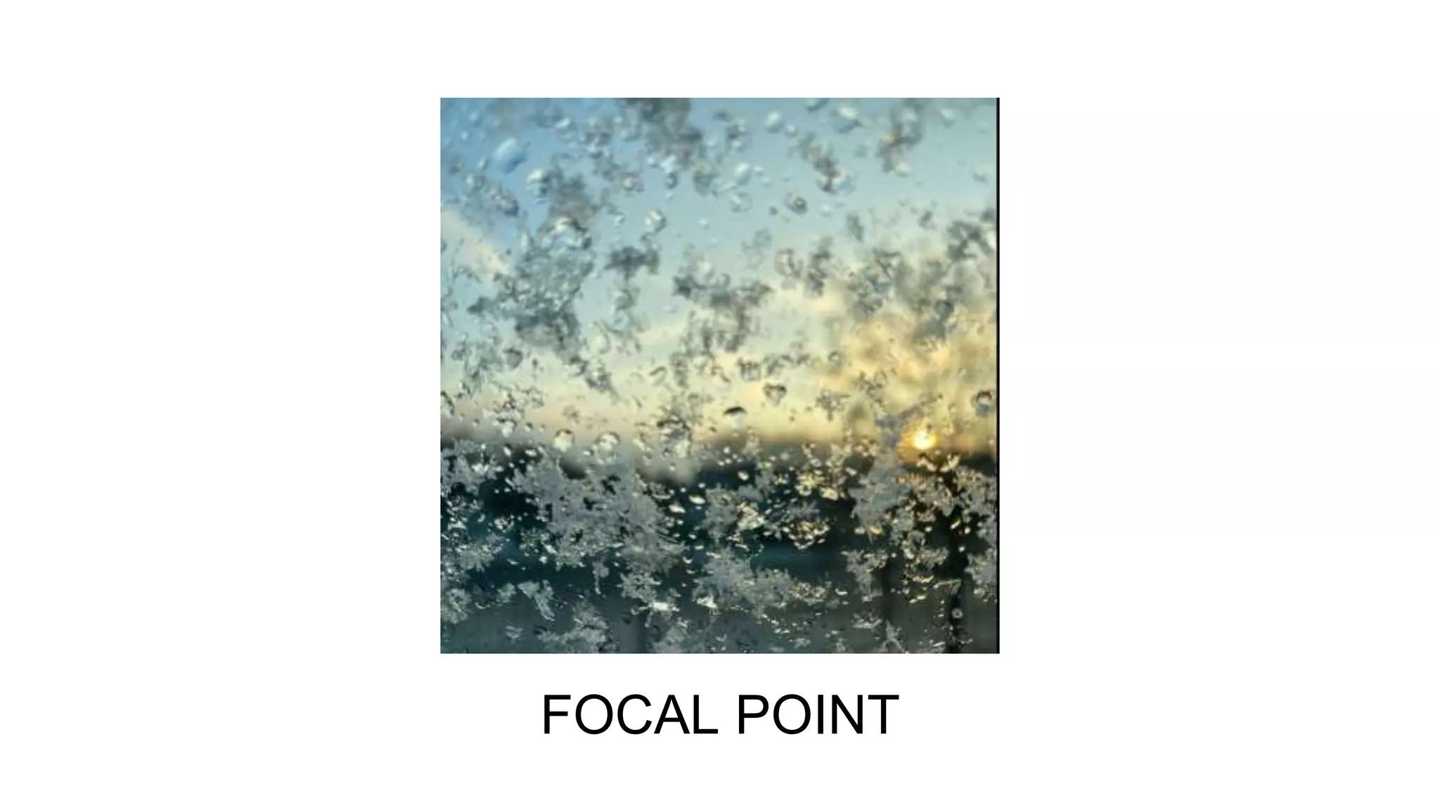 FOCAL POINT
 