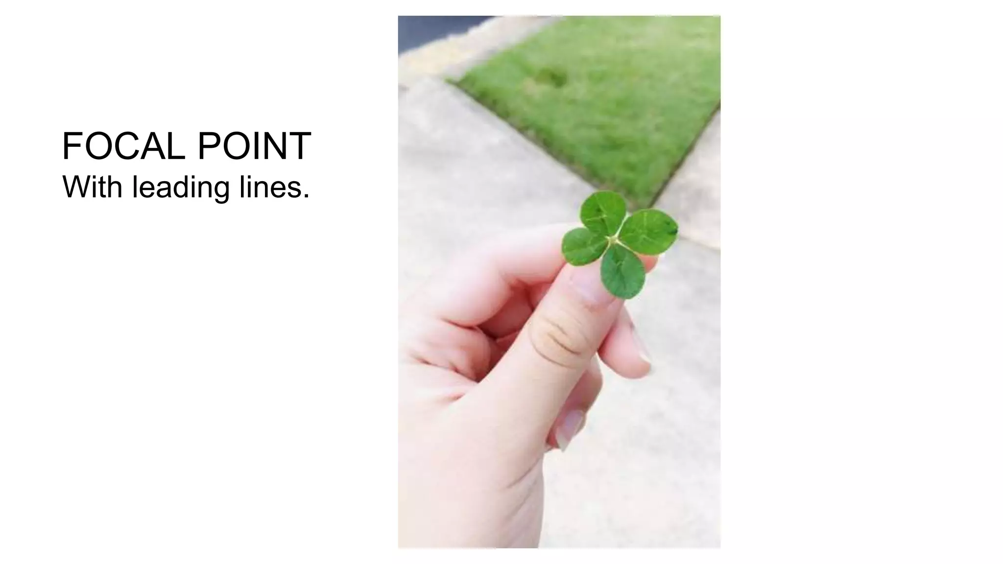 FOCAL POINT
With leading lines.
 