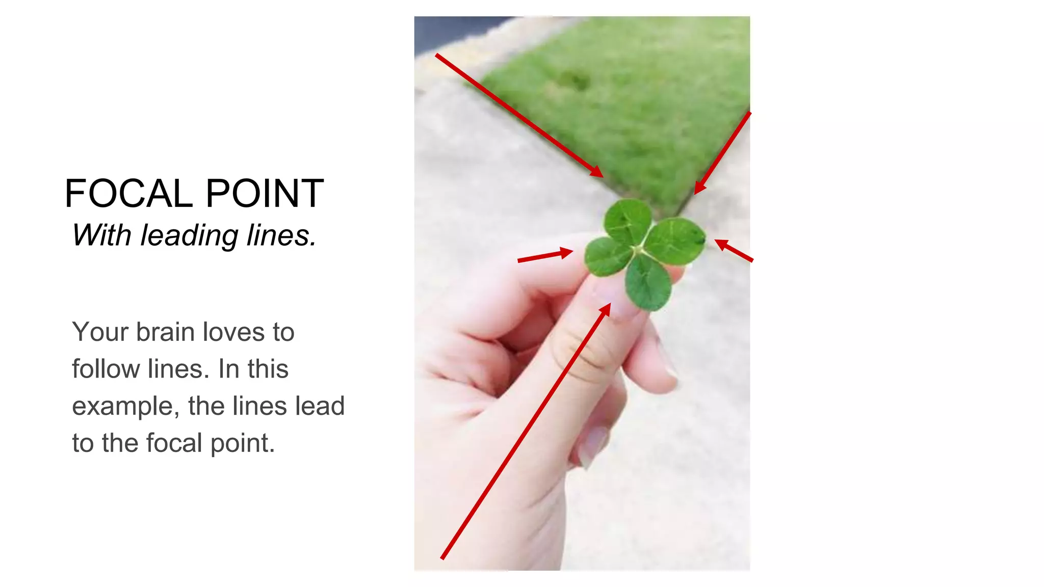 FOCAL POINT
With leading lines.
Your brain loves to
follow lines. In this
example, the lines lead
to the focal point.
 