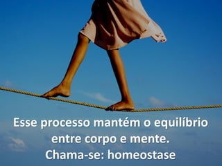 Esse processo mantém o equilíbrio
entre corpo e mente.
Chama-se: homeostase
 