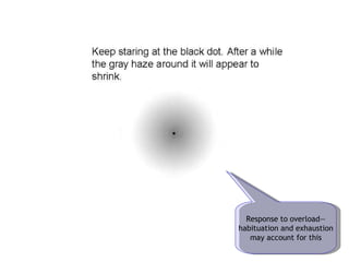 Response to overload— habituation and exhaustion may account for this 