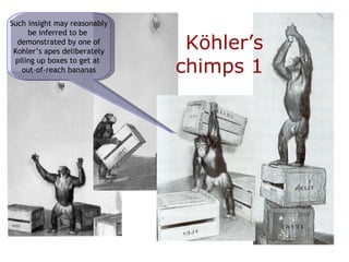 K öhler’s chimps 1 Such insight may reasonably be inferred to be  demonstrated by one of Kohler’s apes deliberately piling up boxes to get at  out-of-reach bananas 