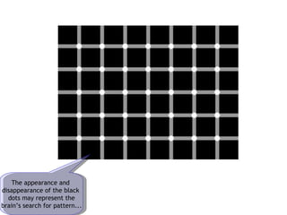 The appearance and  disappearance of the black  dots may represent the brain’s search for pattern... 