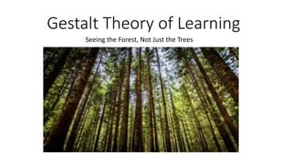 Gestalt	Theory	of	Learning
Seeing	the	Forest,	Not	Just	the	Trees
 