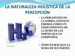 LA NATURALEZA HOLÍSTICA DE LA 
PERCEPCIÓN 
 LA PERCEPCIÓN DE 
LA FORMA (GESTALT) 
EMERGE COMO UN 
TODO DISTINTO DE 
LA SUMA DE LAS 
PARTES QUE LO 
COMPONEN. 
 TODO ES MAS QUE LA 
SUMA DE SUS PARTES 
 