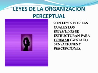 LEYES DE LA ORGANIZACIÓN 
PERCEPTUAL 
SON LEYES POR LAS 
CUALES LOS 
ESTÍMULOS SE 
ESTRUCTURAN PARA 
FORMAR (GESTALT) 
SENSACIONES Y 
PERCEPCIONES. 
 