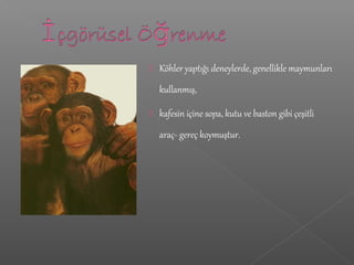  Köhler yaptığı deneylerde, genellikle maymunları
kullanmış,
 kafesin içine sopa, kutu ve baston gibi çeşitli
araç- gereç koymuştur.
 