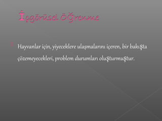  Hayvanlar için, yiyeceklere ulaşmalarını içeren, bir bakışta
çözemeyecekleri, problem durumları oluşturmuştur.
 