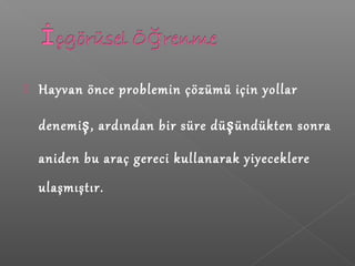  Hayvan önce problemin çözümü için yollar
denemiş, ardından bir süre düşündükten sonra
aniden bu araç gereci kullanarak yiyeceklere
ulaşmıştır.
 