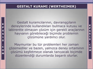 GESTALT KURAMI (WERTHEIMER)




K
          Gestalt kuramcılarının, davranışçıların
      deneylerinde kullandıkları bulmaca kutusu ve      K
P                                                       P
S   labirentte olmayan çözüm için gerekli araçlarının   S
S       hayvanın görebileceği biçimde problemin         S
1                çözümüne yardımcı olur.                1
                                                        0
0
                                                        .
.      Maymunlar bu tür problemleri her zaman           C
C                                                       O
    çözemediler ve bazen, yalnızca deney ortamının
O                                                       M
M
     çözümü keşfetmeye olanak tanıyacak biçimde
        düzenlendiği durumlarda başarılı olurlar.
 