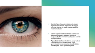 + Derinlik Algısı: Nesnelerin üç boyutlu olarak
algılanmasına derinlik algısı denir. Bu algıya
çevresel etkenler ve gözün yapısal özellikleri
neden olmaktadır.
+ Gözün Yapısal Özellikleri: Gözler uzaktaki ve
yakındaki nesnelere bakarken farklı açılar
oluşturur. Bu fark nesnenin uzakta veya yakında
olduğunu belirtir.
+ Algıda Bütünlük: Nesneler tek tek parça halinde
değil de bir bütün olarak algılanır. İnsan
çevresindeki nesne ve olayları önce bir bütün
olarak algılar, sonra ayrıntılar algılanır.
 