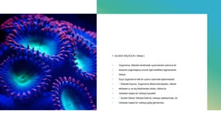 1. ALGIDA SEÇİCİLİK ( Dikkat )
+ Organizma, dikkatini etrafındaki uyarıcılardan yalnızca bir
+ tanesine yoğunlaştırıp onunla ilgili özellikleri algılamasıdır.
+ Dikkat:
+ Duyu organlarının tek bir uyarıcı üzerinde toplanmasıdır.
+ Dikkatte Kayma: Organizma dikkat halindeyken, dikkati
+ etkileyen iç ve dış faktörlerden dolayı, dikkat bir
+ noktadan başka bir noktaya kayabilir.
+ Sürekli Dikkat: Dikkatin belli bir noktaya odaklanması, bir
+ noktadan başka bir noktaya gidip gelmemesi.
 