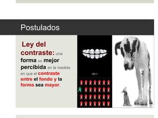 Postulados 
Ley del 
contraste: una 
forma es mejor 
percibida en la medida 
en que el contraste 
entre el fondo y la 
forma sea mayor. 
 