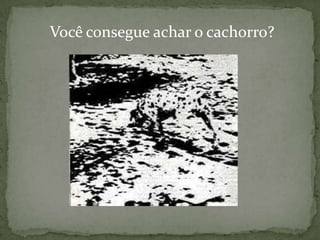 Você consegue achar o cachorro?
 