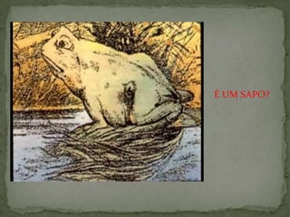 É UM SAPO?
 