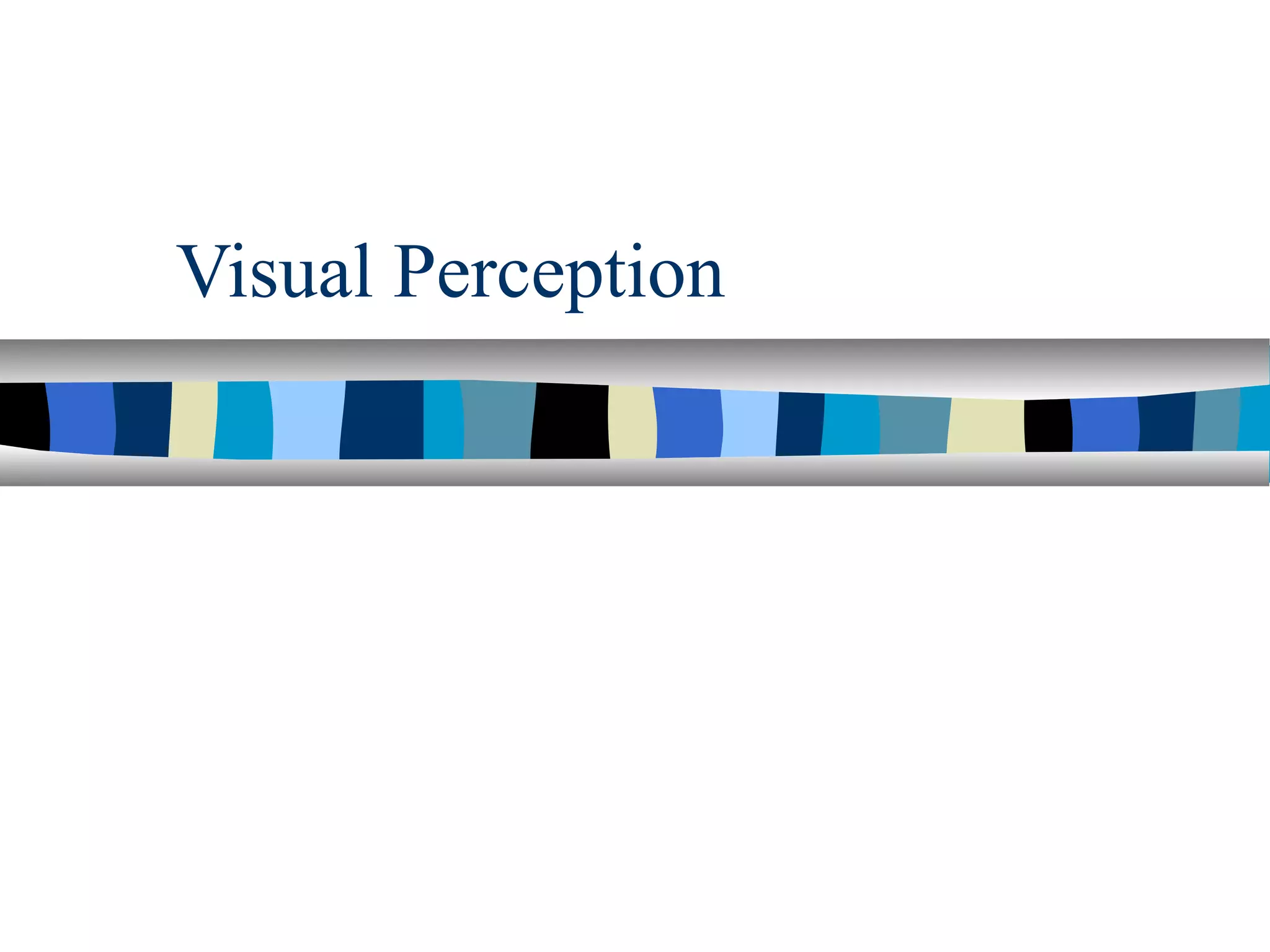Visual Perception
 