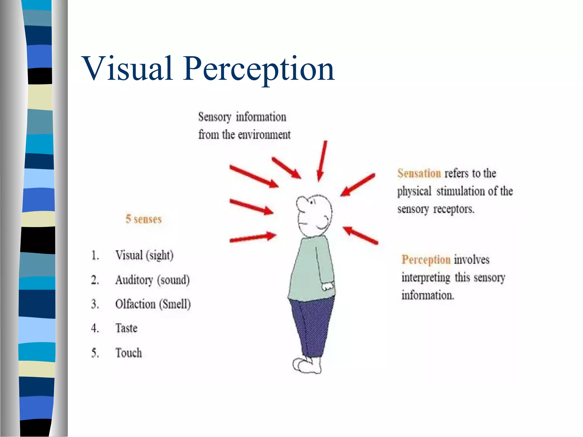 Visual Perception
 