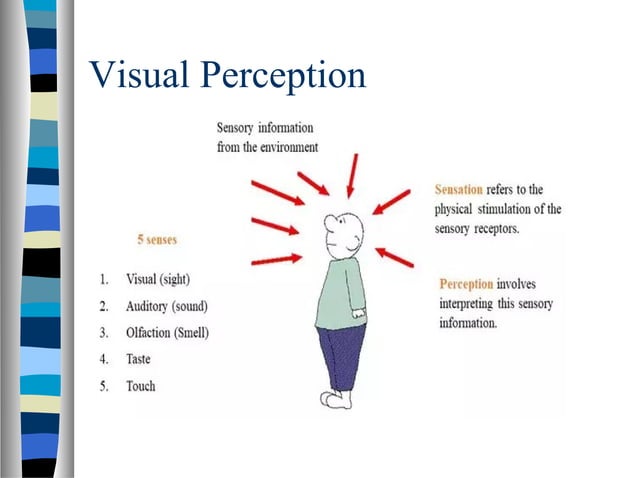 Visual Perception | PPT | Technology & Computing