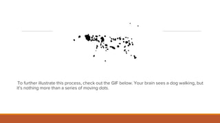 Gestalt principles.pptx