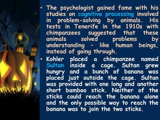 • The psychologist gained fame with his
studies on cognitive processing involved
in problem-solving by animals. His
tests in Tenerife in the 1910s with
chimpanzees suggested that these
animals solved problems by
understanding – like human beings,
instead of going through.
• Kohler placed a chimpanzee named
Sultan inside a cage. Sultan grew
hungry and a bunch of banana was
placed just outside the cage. Sultan
was provided with one long and another
short bamboo stick. Neither of the
sticks could reach the banana alone
and the only possible way to reach the
banana was to join the two sticks.
 